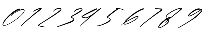 Verlitha Script Italic Font OTHER CHARS
