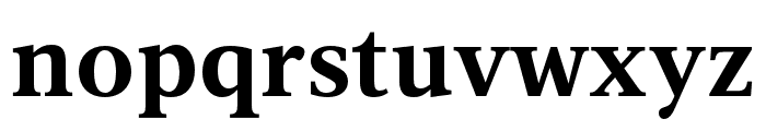 Vernacular Serif Bold Font LOWERCASE