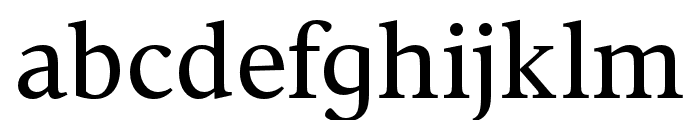 Vernacular Serif Font LOWERCASE