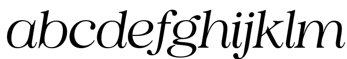 Vestige Harmony Italic Font LOWERCASE