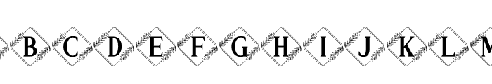 Vierasti Monogram Font LOWERCASE