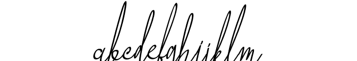 Viktoria Signature Font LOWERCASE