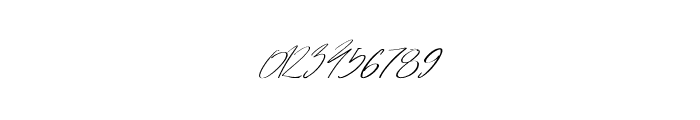 Vilamerca Signature Regular Font OTHER CHARS