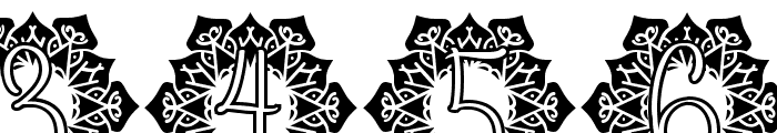 Vine Mandala Monogram Font OTHER CHARS
