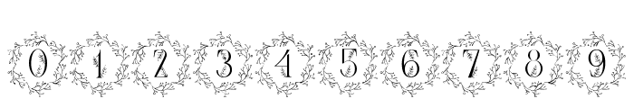Vine Monogram Wreath Font OTHER CHARS
