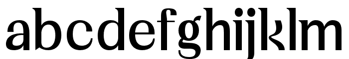 Vogera-Regular FONT