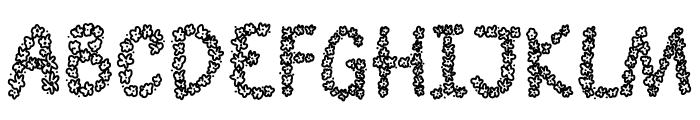 WK Daisy Font UPPERCASE