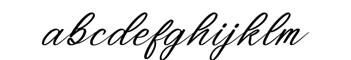 Washington Delmonte Italic Font LOWERCASE