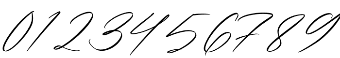 Washington Signature Italic Font OTHER CHARS