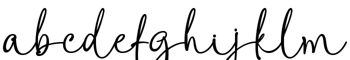 Weaknes Signature Bold Regular Font LOWERCASE