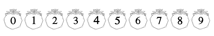Wedding Rose Font OTHER CHARS
