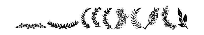 Wedding wreaths Font OTHER CHARS