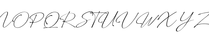 Wellyon Regular Font UPPERCASE