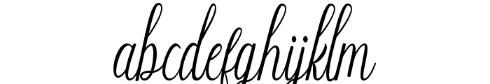 WerdhianScript-Regular Font LOWERCASE