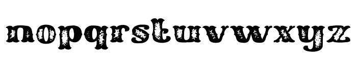 Western Cowboy Texture Font LOWERCASE