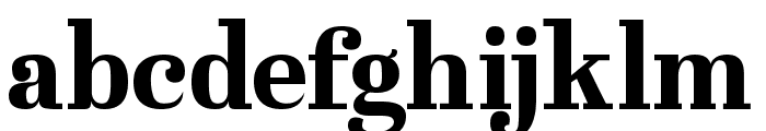 Westerniya Serif Font LOWERCASE
