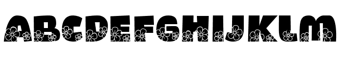 Whimsy Floral FONT