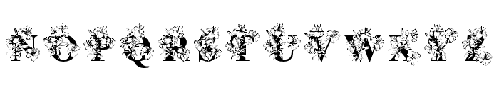 White Lily Flower Font UPPERCASE