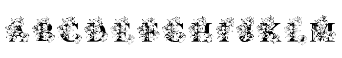 White Lily Flower Font LOWERCASE