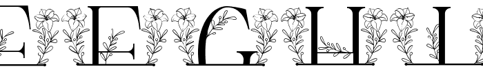 White Lily Line Monogram Font LOWERCASE