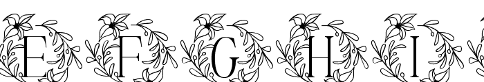 White Lily Monogram Font LOWERCASE