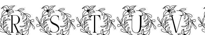White Lily Monogram Font LOWERCASE