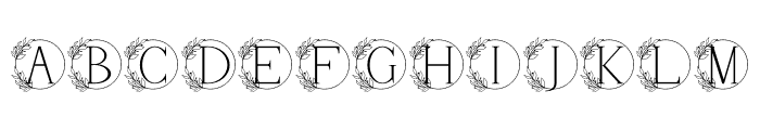 Wildflower Monogram Regular Font UPPERCASE
