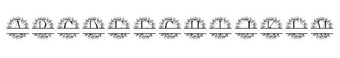 Willow Crown Split Monogram FONT