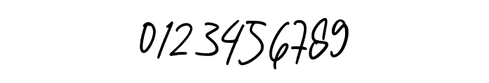 WindyaSignature-Regular Font OTHER CHARS