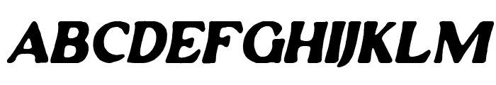 Winfield Italic Font LOWERCASE