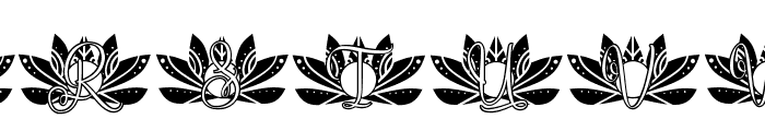 Wisdom Lotus Mandala Monogram Font LOWERCASE