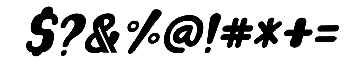 Wishkey Thin Italic Italic Font OTHER CHARS