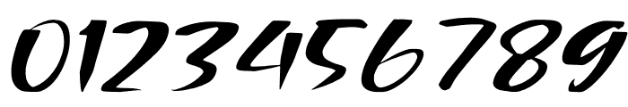 Wolfrash Italic Font OTHER CHARS