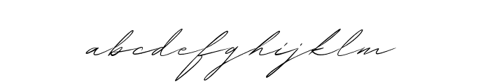 Wolvertton Signature Font LOWERCASE