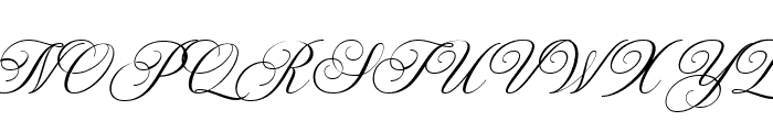 Wonderful Script Font UPPERCASE