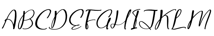 Wonderla Garniss Italic Font UPPERCASE