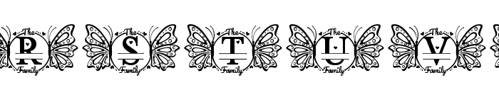 WylieFamilyMonogram Font LOWERCASE