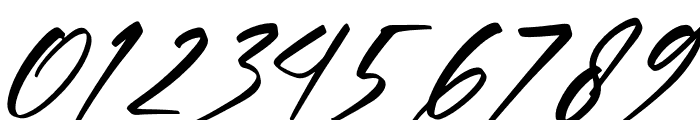 Xantegrode Signature Italic Font OTHER CHARS