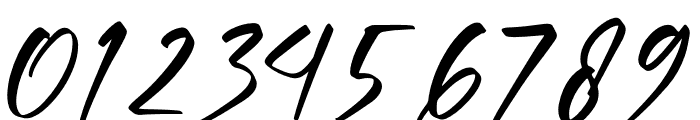 Xantegrode Signature Font OTHER CHARS