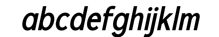 Xerifut Italic Font LOWERCASE