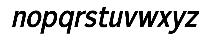 Xerifut Italic Font LOWERCASE