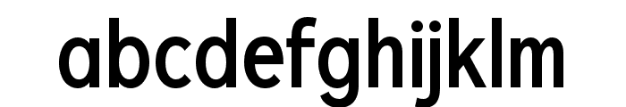 Xerifut Regular Font LOWERCASE