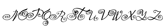 Yndina elegant font Font UPPERCASE