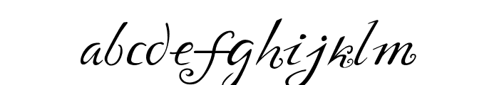 Yndina elegant font Font LOWERCASE