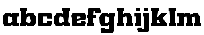 YoungRIEHUM-Regular Font LOWERCASE
