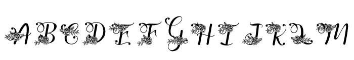 Yuanita Monogram Flower Font LOWERCASE