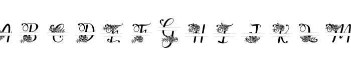 Yuanita Monogram Split Font UPPERCASE