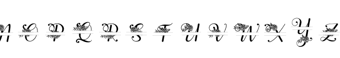 Yuanita Monogram Split Font UPPERCASE