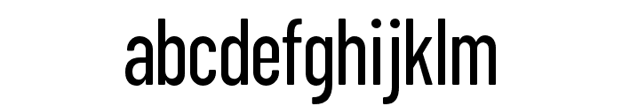 ZTFloogn-Regular Font LOWERCASE