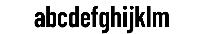 ZTFloogn-SemiBold Font LOWERCASE